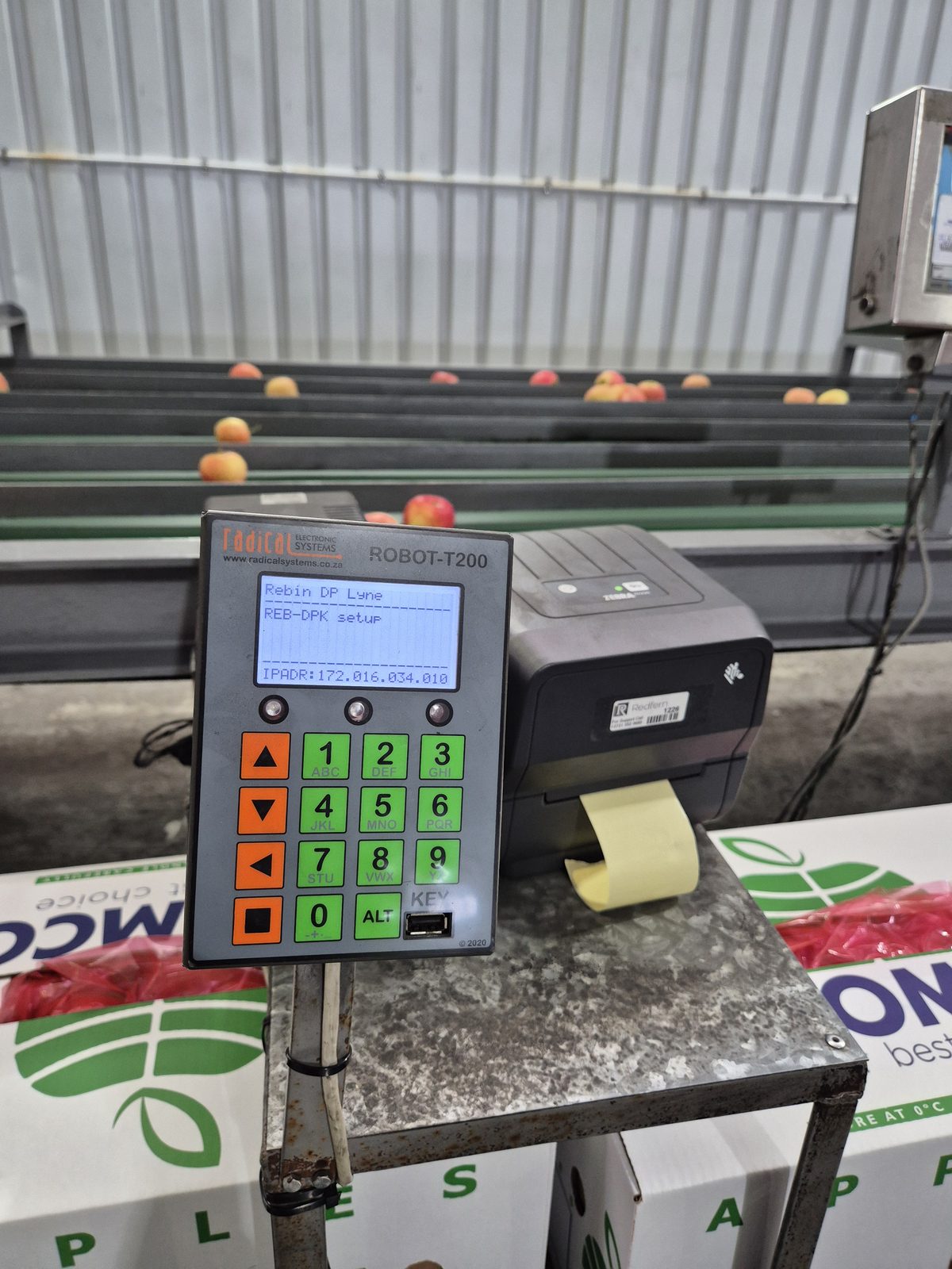 Robot T201 — rebin line station