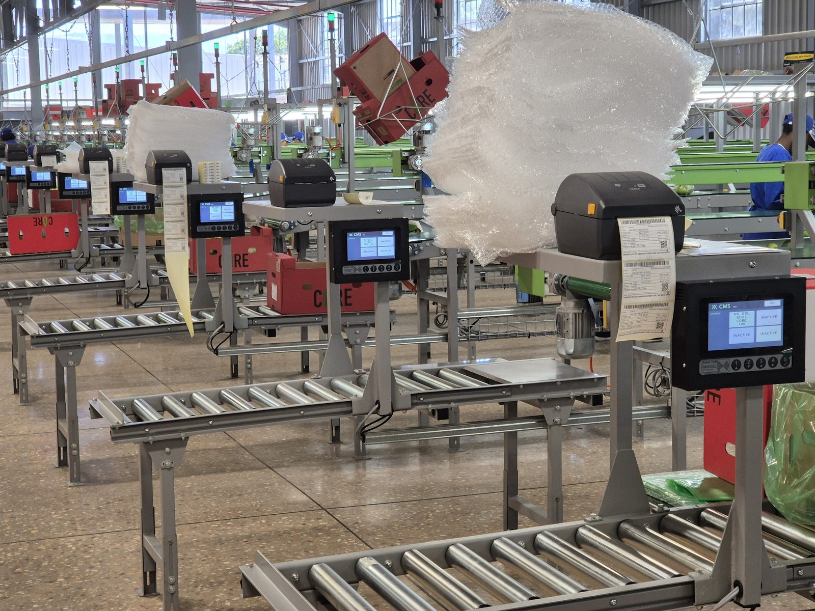 Robot T430 — row of weigh-and-label stations